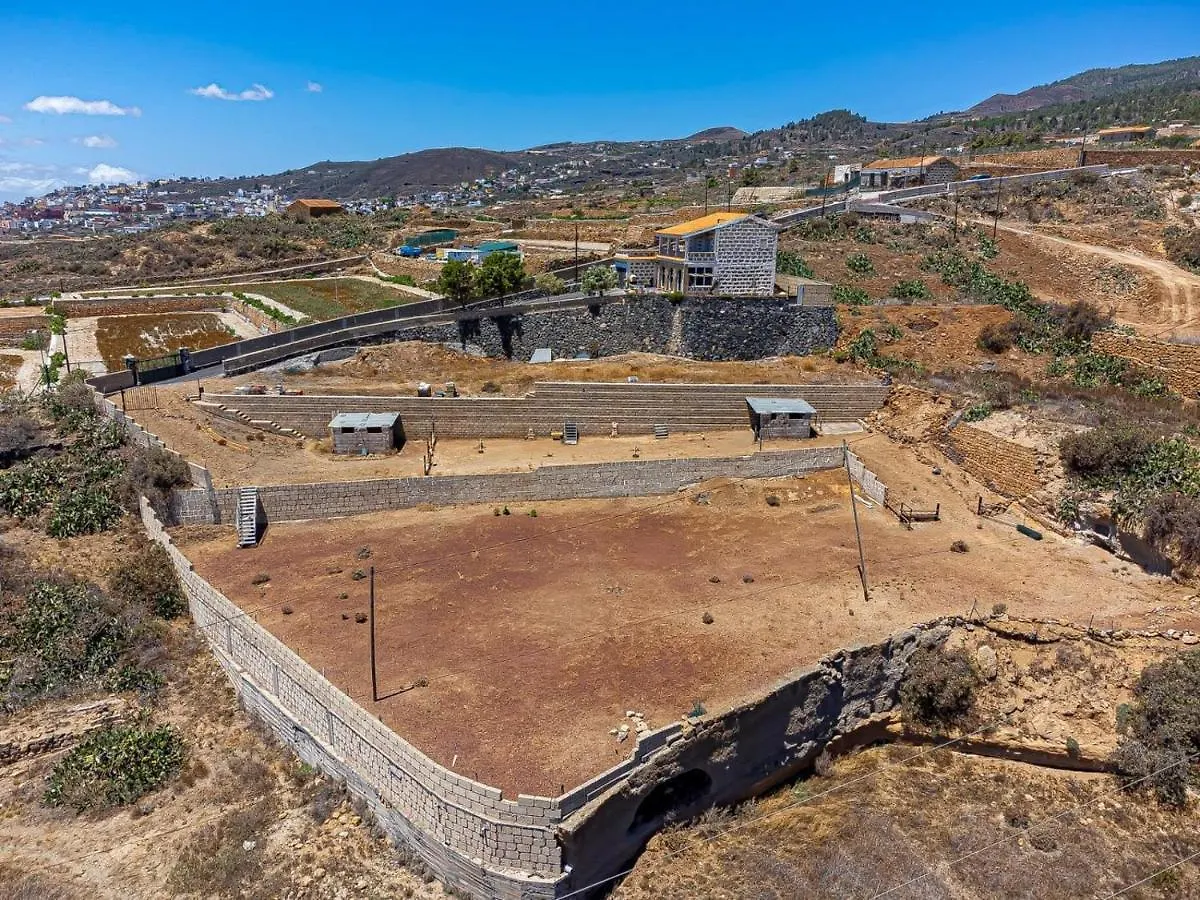 Finca Los Blanquitos Amazing With 3,000 M2 Of Land Granadilla De Abona Spanje